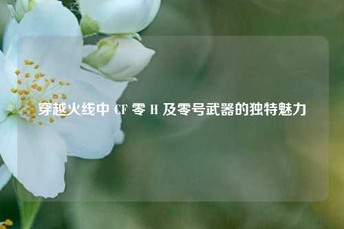 穿越火线中 CF 零 H 及零号武器的独特魅力