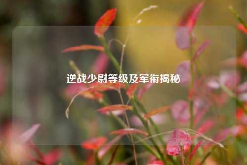 逆战少尉等级及军衔揭秘