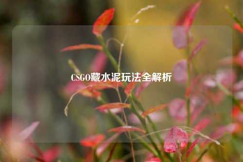 CSGO藏水泥玩法全解析