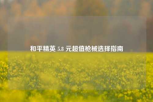 和平精英 5.8 元超值枪械选择指南