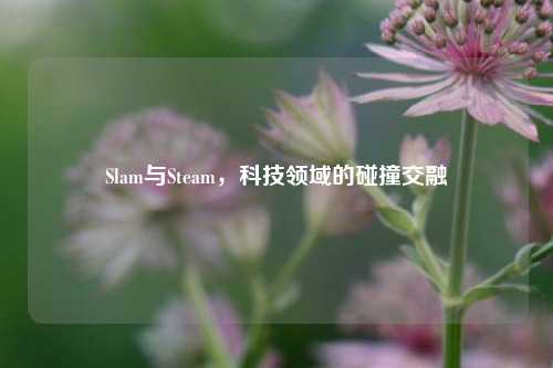 Slam与Steam,科技领域的碰撞交融