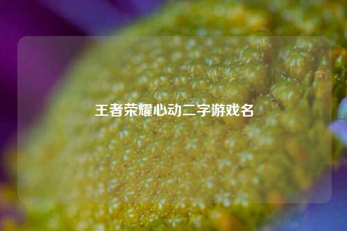 王者荣耀心动二字游戏名