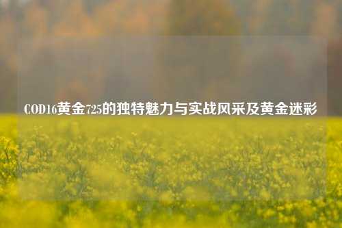 COD16黄金725的独特魅力与实战风采及黄金迷彩