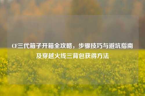 CF三代箱子开箱全攻略,步骤技巧与避坑指南及穿越火线三背包获得