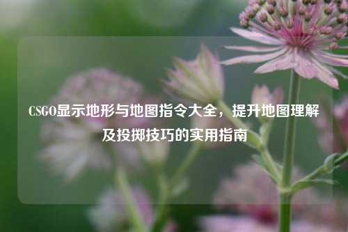 CSGO显示地形与地图指令大全,提升地图理解及投掷技巧的实用指南