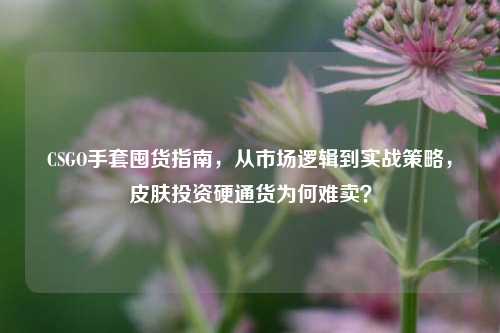CSGO手套囤货指南,从市场逻辑到实战策略,皮肤投资硬通货为何难卖?