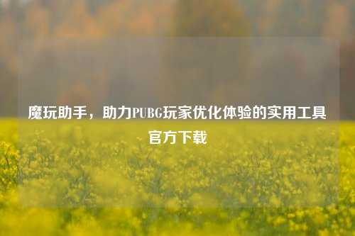 魔玩助手,助力PUBG玩家优化体验的实用工具官方下载