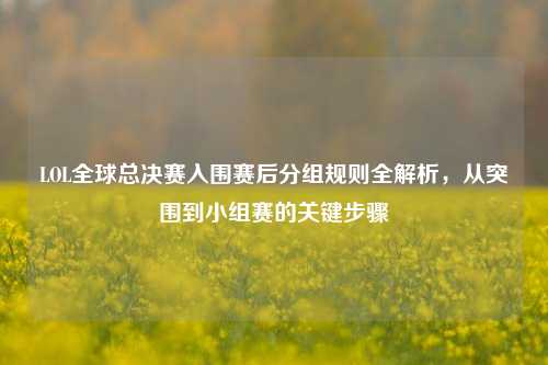 LOL全球总决赛入围赛后分组规则全解析,从突围到小组赛的关键步骤