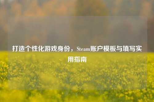 打造个性化游戏身份,Steam账户模板与填写实用指南