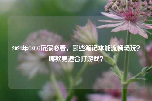 2024年CSGO玩家必看,哪些笔记本能流畅畅玩?哪款更适合打游戏?