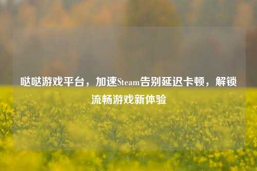 哒哒游戏平台,加速Steam告别延迟卡顿,解锁流畅游戏新体验