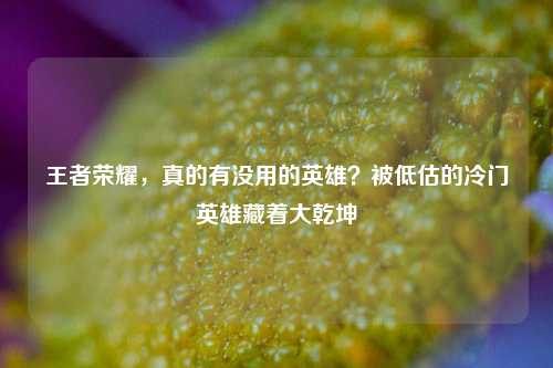 王者荣耀,真的有没用的英雄?被低估的冷门英雄藏着大乾坤