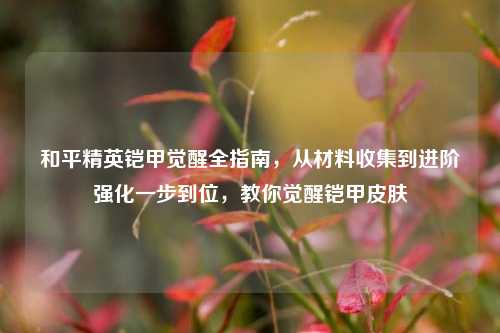 和平精英铠甲觉醒全指南,从材料收集到进阶强化一步到位,教你觉醒铠甲皮肤