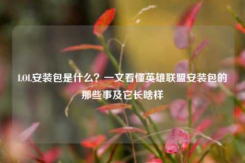 LOL安装包是什么?一文看懂英雄联盟安装包的那些事及它长啥样