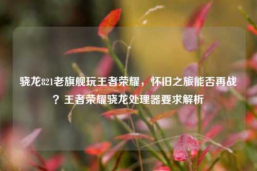 骁龙821老旗舰玩王者荣耀,怀旧之旅能否再战?王者荣耀骁龙处理器要求解析