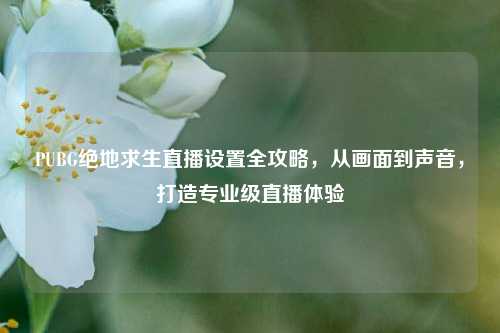 PUBG绝地求生直播设置全攻略,从画面到声音,打造专业级直播体验