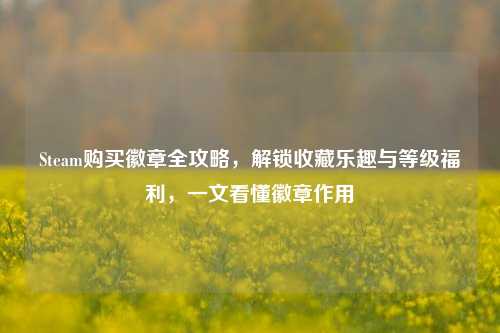 Steam购买徽章全攻略,解锁收藏乐趣与等级福利,一文看懂徽章作用