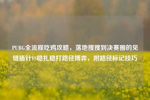 PUBG全流程吃鸡攻略,落地搜搜到决赛圈的见缝插针VS稳扎稳打路径博弈,附路径标记技巧
