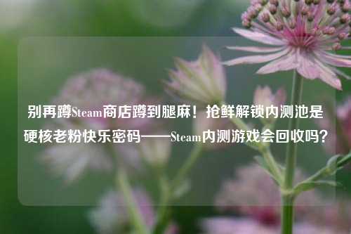 别再蹲Steam商店蹲到腿麻!抢鲜解锁内测池是硬核老粉快乐密码——Steam内测游戏会回收吗?