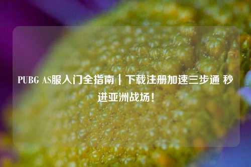 PUBG AS服入门全指南|下载注册加速三步通 秒进亚洲战场!