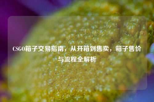 CSGO箱子交易指南，从开箱到售卖，箱子售价与流程全解析