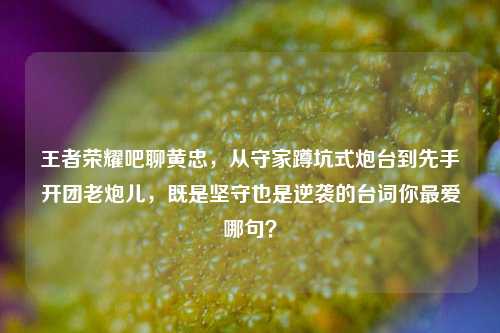 王者荣耀吧聊黄忠,从守家蹲坑式炮台到先手开团老炮儿,既是坚守也是逆袭的台词你更爱哪句?