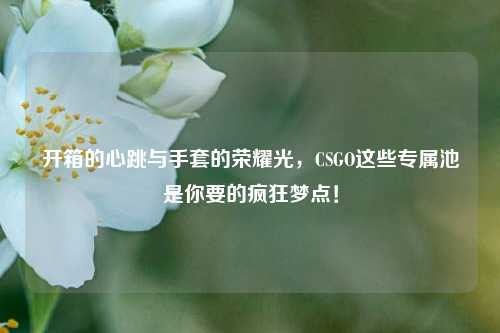 开箱的心跳与手套的荣耀光,CSGO这些专属池是你要的疯狂梦点!