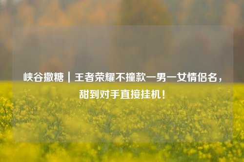 峡谷撒糖|王者荣耀不撞款一男一女情侣名,甜到对手直接挂机!