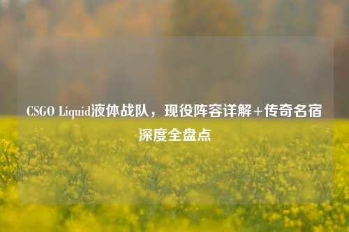 CSGO Liquid液体战队,现役阵容详解+传奇名宿深度全盘点