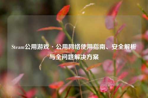 Steam公用游戏·公用 使用指南、安全解析与全问题解决方案