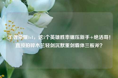 王者荣耀1v1,这5个英雄胜率碾压新手+绝活哥!直接拍碎木兰轻剑沉默重剑霸体三板斧?