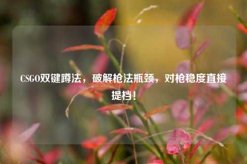 CSGO双键蹲法,破解枪法瓶颈,对枪稳度直接提档!