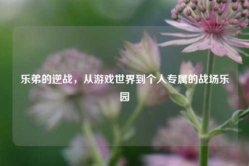 乐弟的逆战,从游戏世界到个人专属的战场乐园