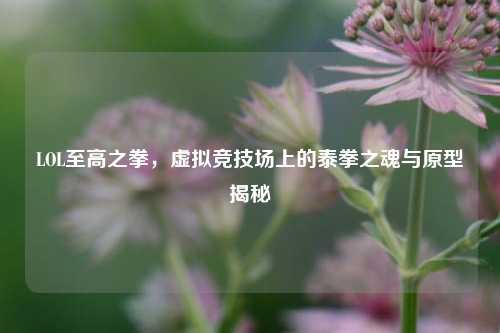 LOL至高之拳,虚拟竞技场上的泰拳之魂与原型揭秘