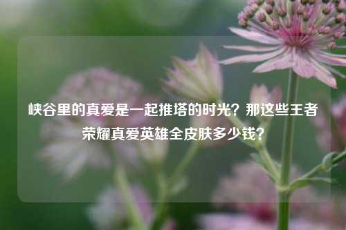 峡谷里的真爱是一起推塔的时光?那这些王者荣耀真爱英雄全皮肤多少钱?