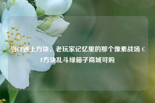 当CF遇上方块,老玩家记忆里的那个像素战场 CF方块乱斗绿箱子商城可购
