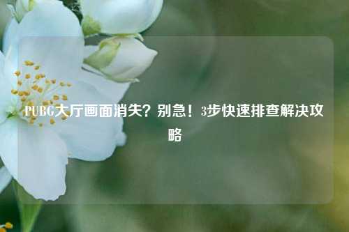 PUBG大厅画面消失?别急!3步快速排查解决攻略