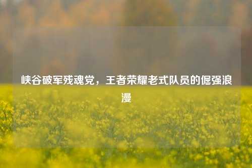 峡谷破军残魂党,王者荣耀老式队员的倔强浪漫