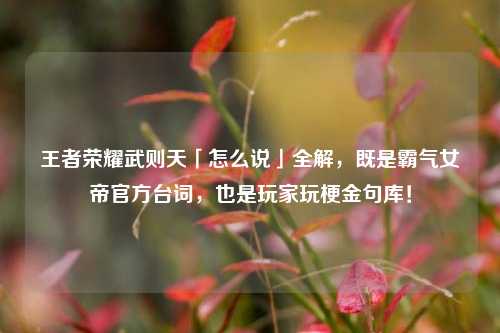 王者荣耀武则天「怎么说」全解,既是霸气女帝官方台词,也是玩家玩梗金句库!
