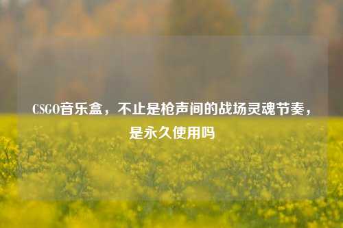 CSGO音乐盒,不止是枪声间的战场灵魂节奏,是永久使用吗