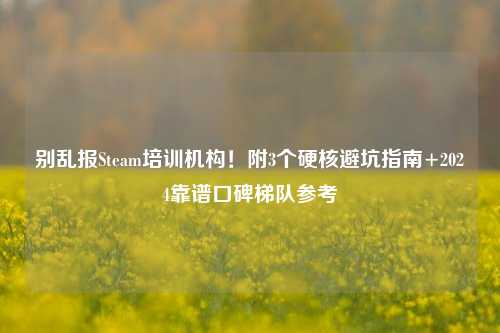 别乱报Steam培训机构!附3个硬核避坑指南+2024靠谱口碑梯队参考