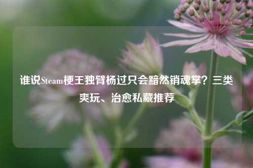 谁说Steam梗王独臂杨过只会黯然销魂掌?三类爽玩、治愈私藏推荐