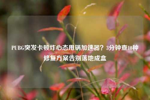 PUBG突发卡顿炸心态甩锅加速器?3分钟查10种修复方案告别落地成盒