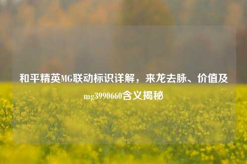 和平精英MG联动标识详解,来龙去脉、价值及mg3990660含义揭秘