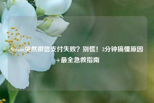 Steam突然微信支付失败?别慌!3分钟搞懂原因+最全急救指南