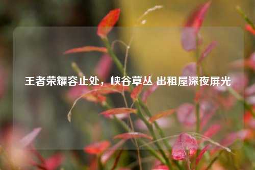 王者荣耀容止处,峡谷草丛 出租屋深夜屏光