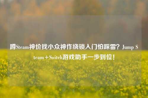 蹲Steam神价找小众神作绕锁入门怕踩雷?Jump Steam+Switch游戏助手一步到位!
