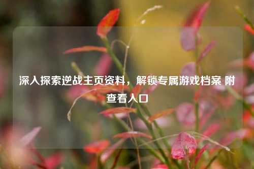 深入探索逆战主页资料,解锁专属游戏档案 附查看入口