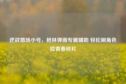逆战猎场小号,枪林弹雨专属辅助 轻松刷角色捡青春碎片