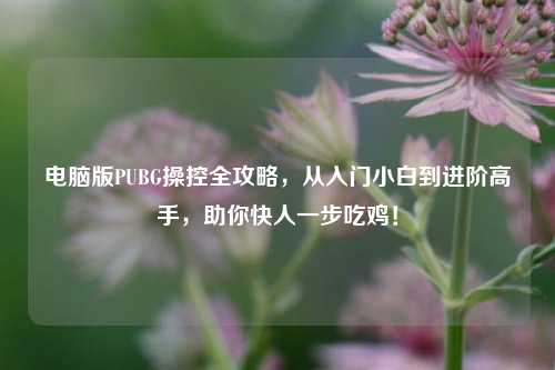 电脑版PUBG操控全攻略,从入门小白到进阶高手,助你快人一步吃鸡!